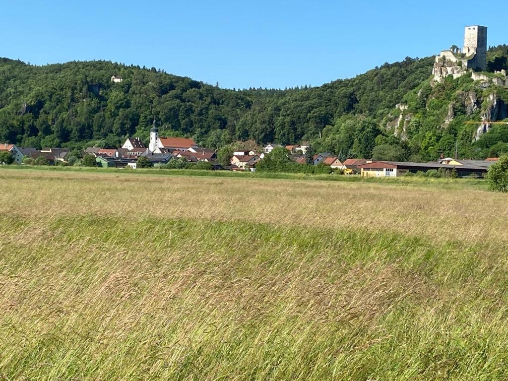 Ferienwohnung Im Wunderschoenen Altmuehltal Wellheim Экстерьер фото